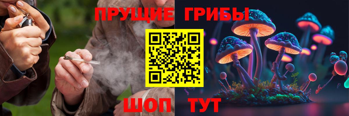 Конаково  Галлюциногенные грибы GOLDEN TEACHER  Вход с VPN  Псилоцибиновые грибы Cubensis 